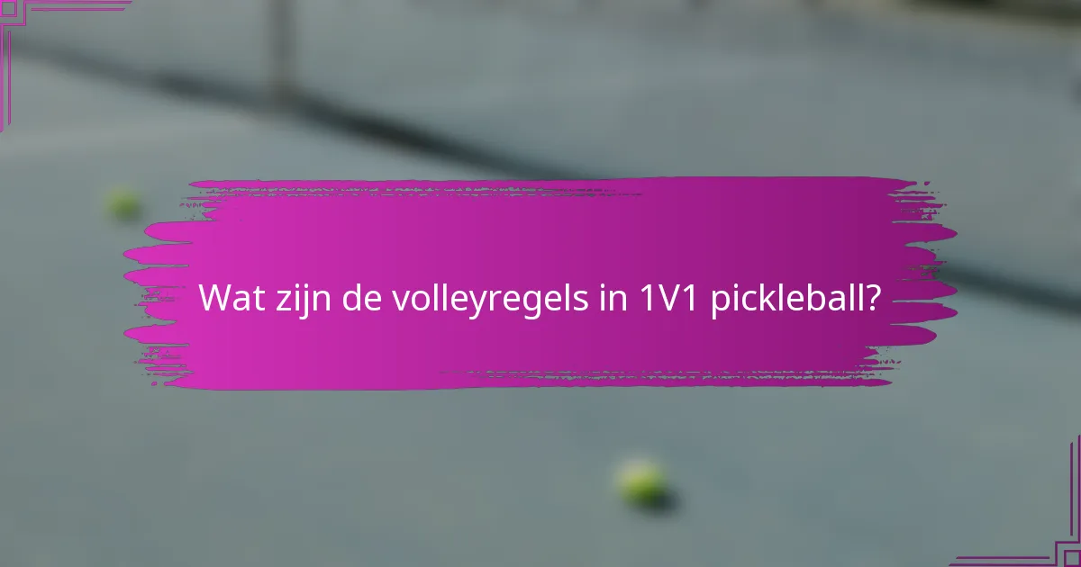 Wat zijn de volleyregels in 1V1 pickleball?